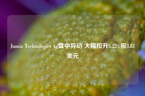 Jumia Technologies Ag盘中异动 大幅拉升5.22%报3.83美元-第1张图片-比分网