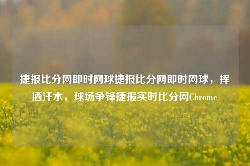 捷报比分网即时网球捷报比分网即时网球，挥洒汗水，球场争锋捷报实时比分网Chrome-第1张图片-比分网