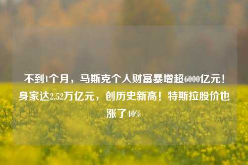 不到1个月，马斯克个人财富暴增超6000亿元！身家达2.52万亿元，创历史新高！特斯拉股价也涨了40%-第1张图片-比分网