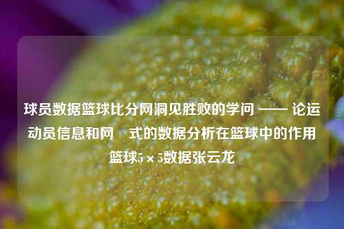 球员数据篮球比分网洞见胜败的学问 —— 论运动员信息和网籟式的数据分析在篮球中的作用篮球5×5数据张云龙-第1张图片-比分网