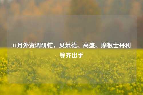 11月外资调研忙，贝莱德、高盛、摩根士丹利等齐出手-第1张图片-比分网