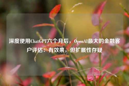 深度使用ChatGPT六个月后，OpenAI最大的金融客户评估：有效果，但扩展性存疑-第1张图片-比分网