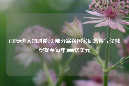 COP29进入加时阶段 部分富裕国家同意将气候融资提至每年3000亿美元-第1张图片-比分网