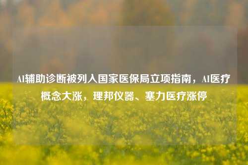 AI辅助诊断被列入国家医保局立项指南，AI医疗概念大涨，理邦仪器、塞力医疗涨停-第1张图片-比分网