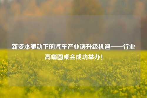 新资本驱动下的汽车产业链升级机遇——行业高端圆桌会成功举办！-第1张图片-比分网