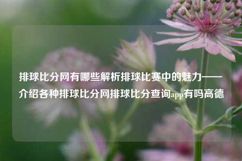 排球比分网有哪些解析排球比赛中的魅力——介绍各种排球比分网排球比分查询app有吗高德-第1张图片-比分网