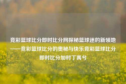 竞彩篮球比分即时比分网探秘篮球迷的新领地——竞彩篮球比分的奥秘与快乐竞彩篮球比分即时比分加时丁禹兮-第1张图片-比分网