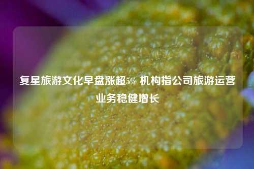 复星旅游文化早盘涨超5% 机构指公司旅游运营业务稳健增长-第1张图片-比分网