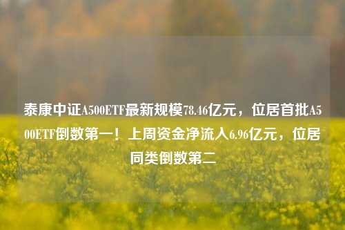 泰康中证A500ETF最新规模78.46亿元，位居首批A500ETF倒数第一！上周资金净流入6.96亿元，位居同类倒数第二-第1张图片-比分网