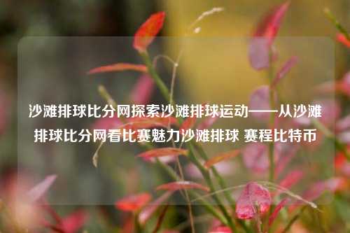 沙滩排球比分网探索沙滩排球运动——从沙滩排球比分网看比赛魅力沙滩排球 赛程比特币-第1张图片-比分网