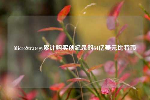 MicroStrategy累计购买创纪录的54亿美元比特币-第1张图片-比分网