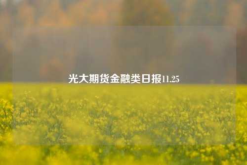 光大期货金融类日报11.25-第1张图片-比分网