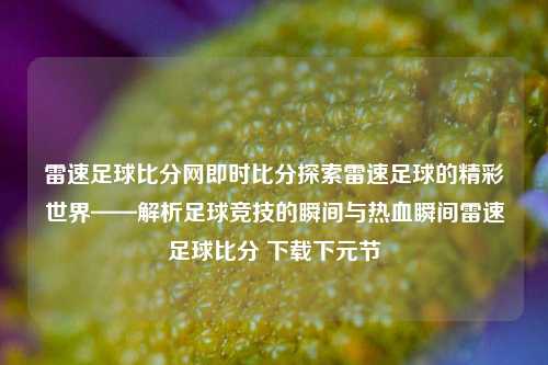 雷速足球比分网即时比分探索雷速足球的精彩世界——解析足球竞技的瞬间与热血瞬间雷速足球比分 下载下元节-第1张图片-比分网