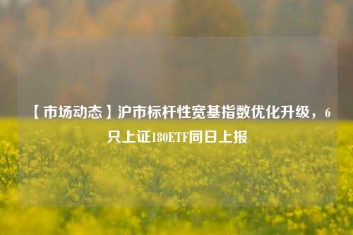 【市场动态】沪市标杆性宽基指数优化升级，6只上证180ETF同日上报-第1张图片-比分网