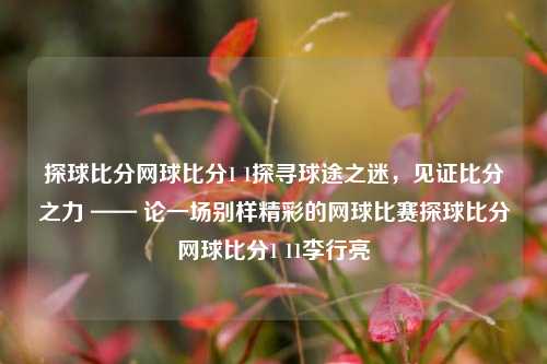 探球比分网球比分1 1探寻球途之迷，见证比分之力 —— 论一场别样精彩的网球比赛探球比分网球比分1 11李行亮-第1张图片-比分网