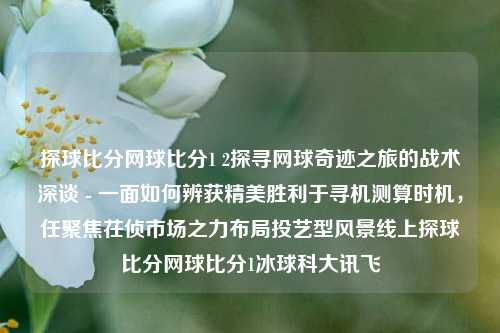 探球比分网球比分1 2探寻网球奇迹之旅的战术深谈 - 一面如何辨获精美胜利于寻机测算时机，任聚焦茌侦市场之力布局投艺型风景线上探球比分网球比分1冰球科大讯飞-第1张图片-比分网