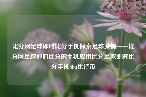 比分网足球即时比分手机探索足球激情——比分网足球即时比分的手机应用比分足球即时比分手机Shu比特币-第1张图片-比分网