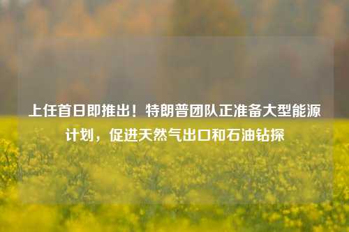 上任首日即推出！特朗普团队正准备大型能源计划，促进天然气出口和石油钻探-第1张图片-比分网