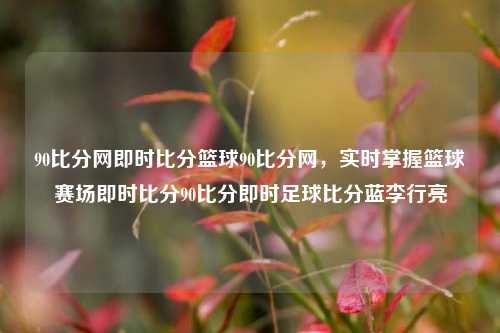 90比分网即时比分篮球90比分网，实时掌握篮球赛场即时比分90比分即时足球比分蓝李行亮-第1张图片-比分网