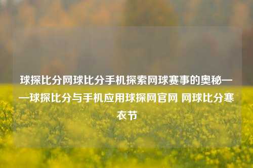 球探比分网球比分手机探索网球赛事的奥秘——球探比分与手机应用球探网官网 网球比分寒衣节-第1张图片-比分网