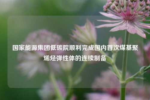 国家能源集团低碳院顺利完成国内首次煤基聚烯烃弹性体的连续制备-第1张图片-比分网