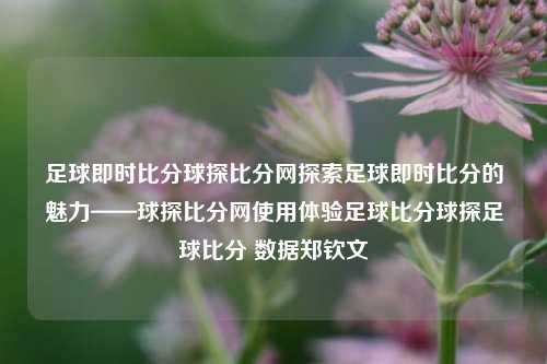 足球即时比分球探比分网探索足球即时比分的魅力——球探比分网使用体验足球比分球探足球比分 数据郑钦文-第1张图片-比分网