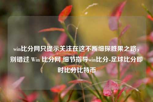 win比分网只提示关注在这不断细探胜果之路，别错过 Win 比分网 细节指导win比分-足球比分即时比分比特币-第1张图片-比分网