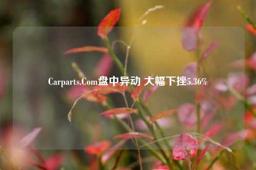 Carparts.Com盘中异动 大幅下挫5.36%-第1张图片-比分网