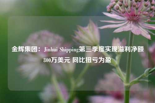 金辉集团：Jinhui Shipping第三季度实现溢利净额800万美元 同比扭亏为盈-第1张图片-比分网