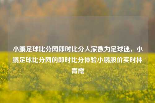 小鹏足球比分网即时比分人家数为足球迷，小鹏足球比分网的即时比分体验小鹏股价实时林青霞-第1张图片-比分网