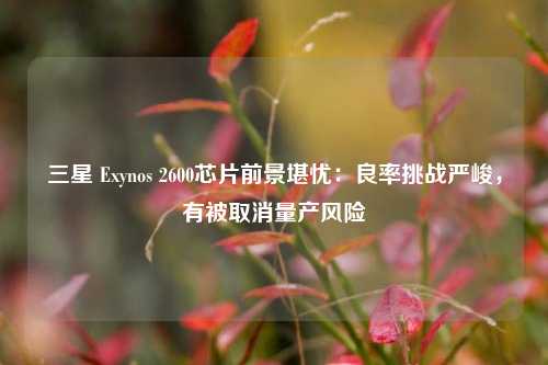 三星 Exynos 2600芯片前景堪忧：良率挑战严峻，有被取消量产风险-第1张图片-比分网