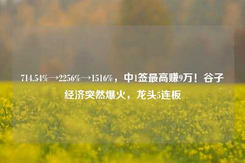 714.54%→2256%→1516%，中1签最高赚9万！谷子经济突然爆火，龙头5连板-第1张图片-比分网