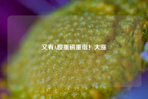 又有A股重磅重组！大涨-第1张图片-比分网