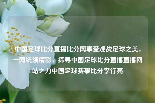 中国足球比分直播比分网享受观战足球之美，一网统领精彩，探寻中国足球比分直播直播网站之力中国足球赛事比分李行亮-第1张图片-比分网