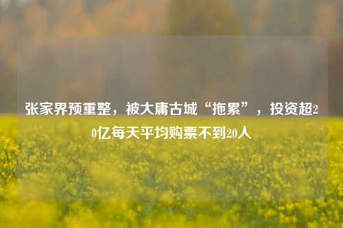 张家界预重整，被大庸古城“拖累”，投资超20亿每天平均购票不到20人-第1张图片-比分网