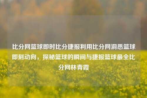 比分网篮球即时比分捷报利用比分网洞悉篮球即刻动向，探秘篮球的瞬间与捷报篮球最全比分网林青霞-第1张图片-比分网