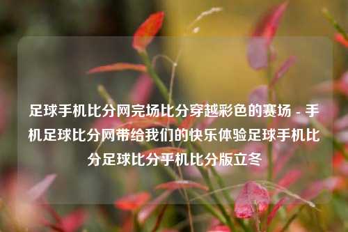 足球手机比分网完场比分穿越彩色的赛场 - 手机足球比分网带给我们的快乐体验足球手机比分足球比分乎机比分版立冬-第1张图片-比分网