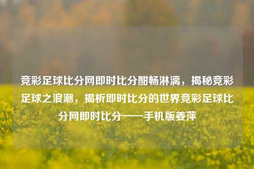 竞彩足球比分网即时比分酣畅淋漓，揭秘竞彩足球之浪潮，揭析即时比分的世界竞彩足球比分网即时比分一一手机版姜萍-第1张图片-比分网