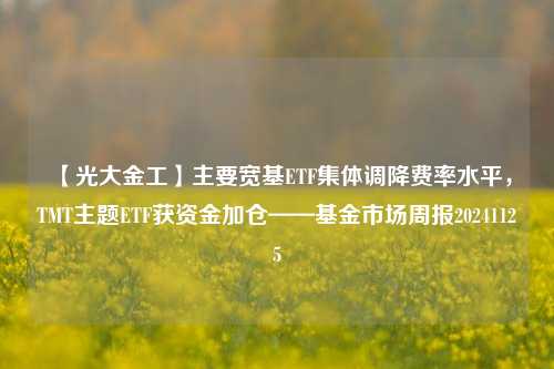 【光大金工】主要宽基ETF集体调降费率水平，TMT主题ETF获资金加仓——基金市场周报20241125-第1张图片-比分网