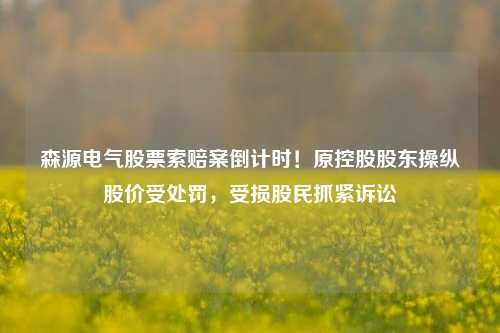 森源电气股票索赔案倒计时！原控股股东操纵股价受处罚，受损股民抓紧诉讼-第1张图片-比分网