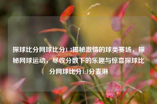 探球比分网球比分1 3揭秘激情的球类赛场，探秘网球运动，尽收分数下的乐趣与惊喜探球比分网球比分1:1分麦琳-第1张图片-比分网