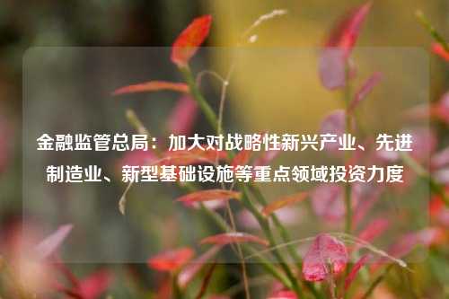 金融监管总局：加大对战略性新兴产业、先进制造业、新型基础设施等重点领域投资力度-第1张图片-比分网