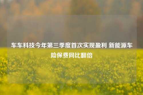 车车科技今年第三季度首次实现盈利 新能源车险保费同比翻倍-第1张图片-比分网