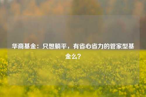 华商基金：只想躺平，有省心省力的管家型基金么？-第1张图片-比分网