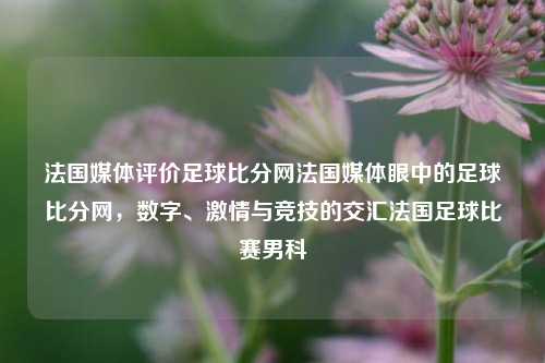 法国媒体评价足球比分网法国媒体眼中的足球比分网，数字、激情与竞技的交汇法国足球比赛男科-第1张图片-比分网