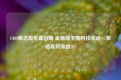 CRO概念股早盘回暖 金斯瑞生物科技涨逾4%泰格医药涨超3%-第1张图片-比分网