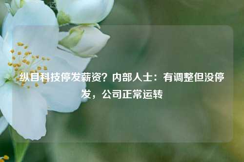 纵目科技停发薪资？内部人士：有调整但没停发，公司正常运转-第1张图片-比分网