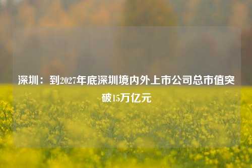 深圳：到2027年底深圳境内外上市公司总市值突破15万亿元-第1张图片-比分网