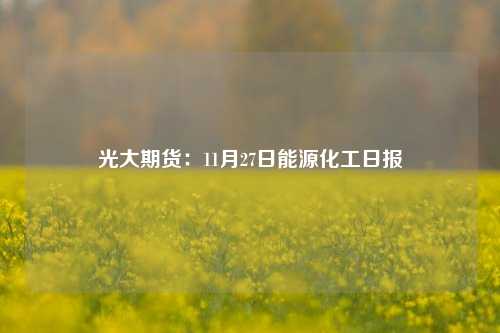 光大期货：11月27日能源化工日报-第1张图片-比分网