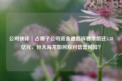 公司快评︱占用子公司资金遭起诉要求偿还3.38亿元，恒天海龙如何应对信誉风险？-第1张图片-比分网